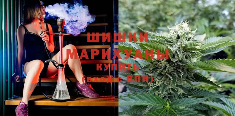 blacksprut как войти  сайты даркнета какой сайт  Богородицк  МАРИХУАНА семена  продажа наркотиков 